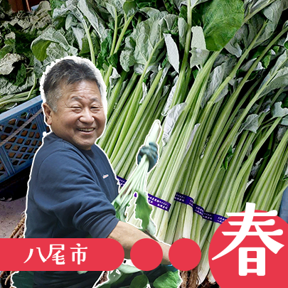 八尾若ごぼう・八尾堆肥研究会