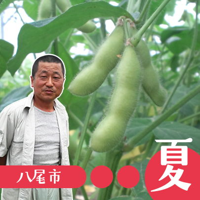 八尾枝豆・八尾堆肥研究会