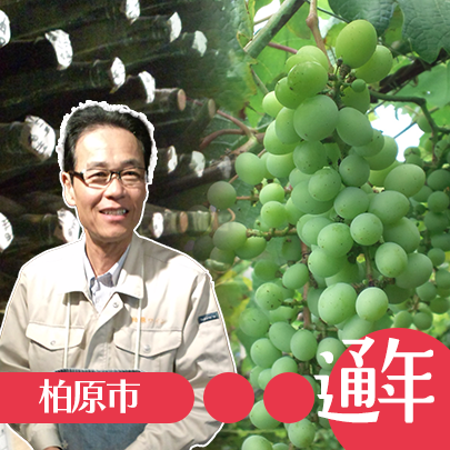 ワイン、たこシャン・カタシモワイナリー