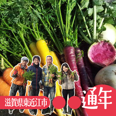 季節の野菜・晴れやかファーム