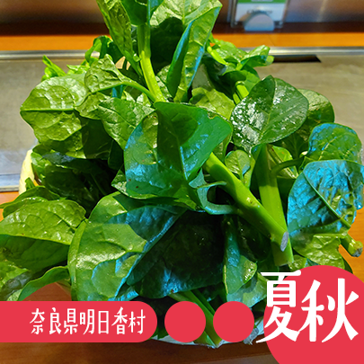 ツルムラサキ・明日香村地域振興公社