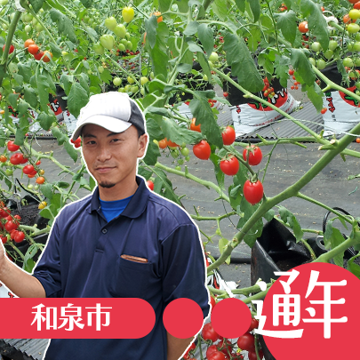 ミニトマト｢アマメイド｣・キノシタファーム