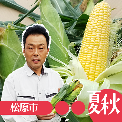 トウモロコシ・稲田ファーム