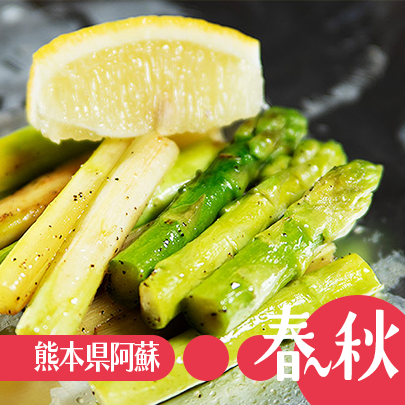 アスパラガス・阿蘇農協