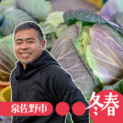 松波キャベツ・射手矢農園