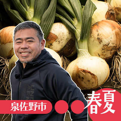 泉州タマネギ・射手矢農園